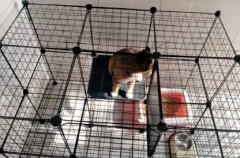 ������B���գ��ɻ\�BҲ��ɢ�B���r��ͣ����պ�